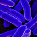 【秋季常見病】秋季是呼吸道疾病、消化系統(tǒng)疾病、皮膚病等常見病的高發(fā)季節(jié)，文章針對不同疾病給出了科學(xué)有效的預(yù)防措施，幫助大家提高自身抵抗力。