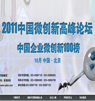 2011中国微创新高峰论坛：何为微创新