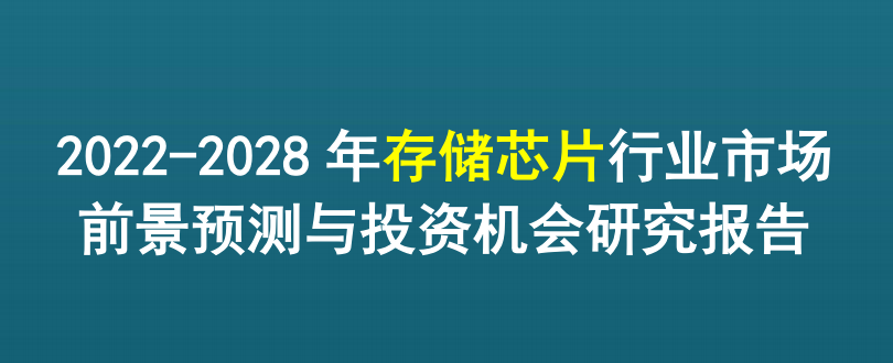 2022-2028年存储芯片行业市场前景预测与投资机会研究报告